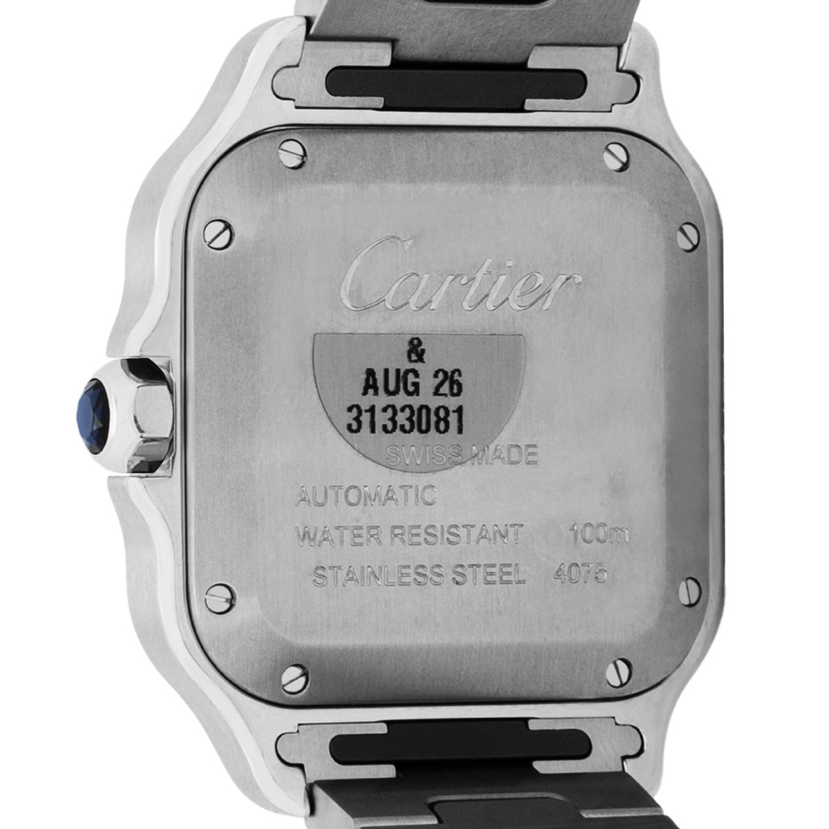 Cartier Santos WSSA0061 Green