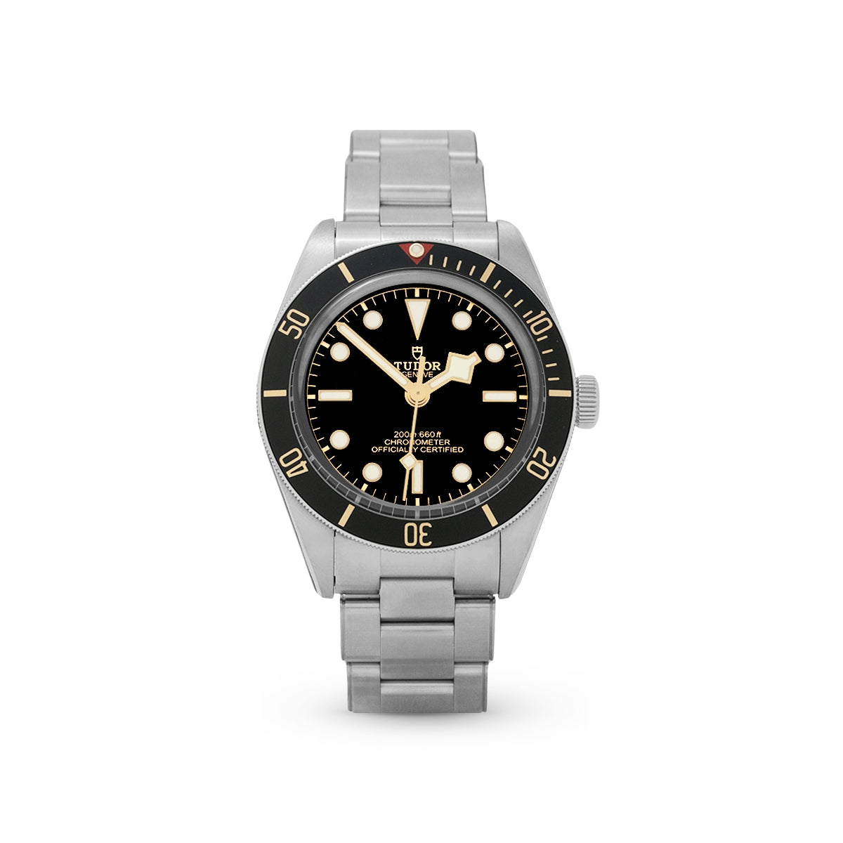 Tudor Black Bay 58 M79030N-0001 Black