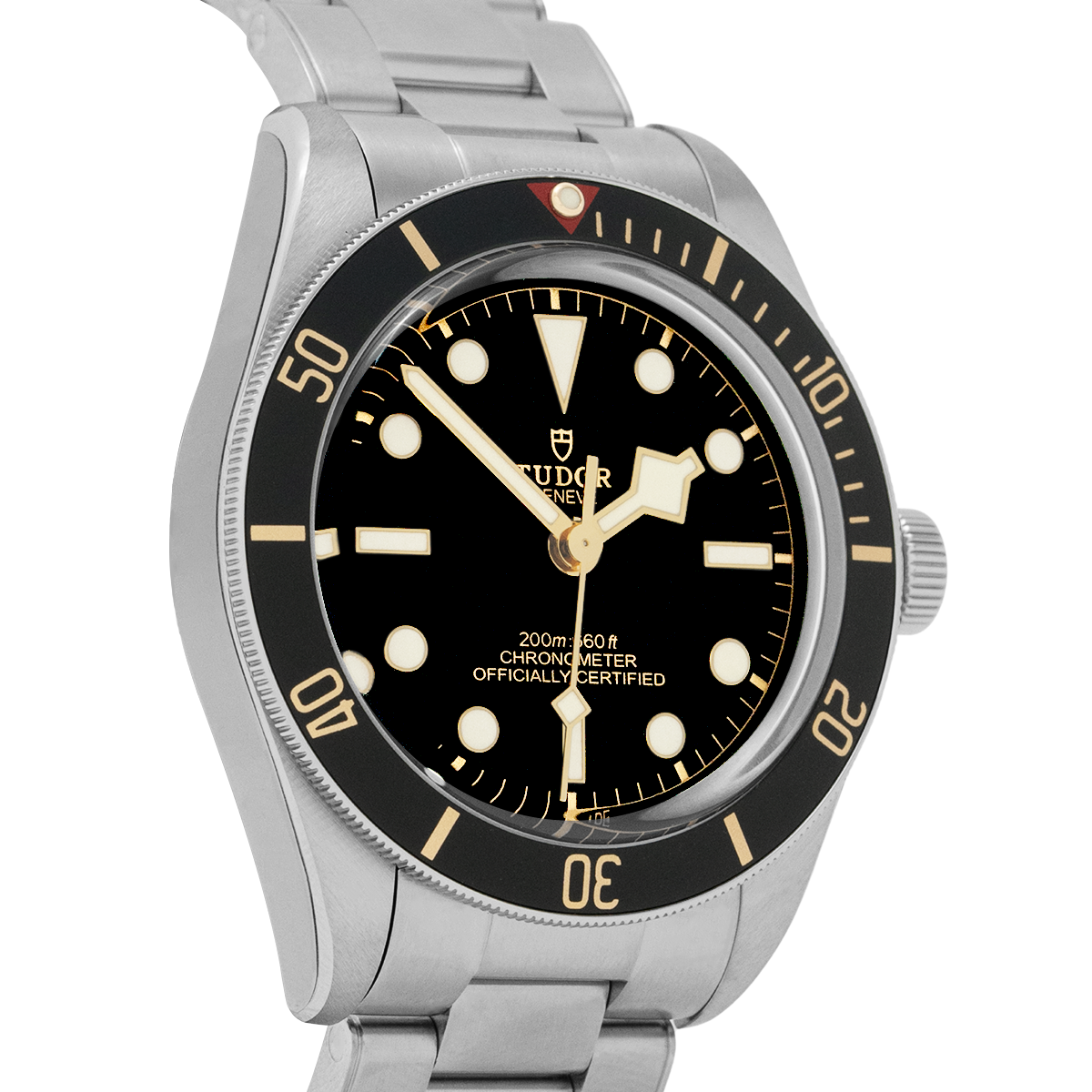 Tudor Black Bay 58 M79030N-0001 Black