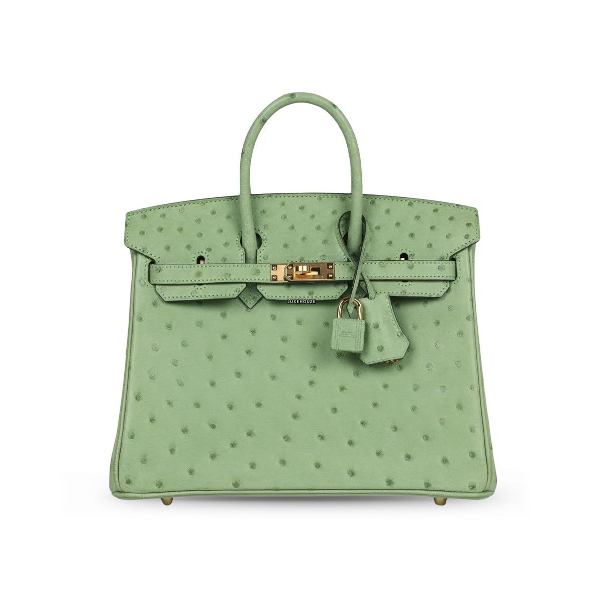 Hermes Birkin 25 Vert Criquet Ostrich GHW B